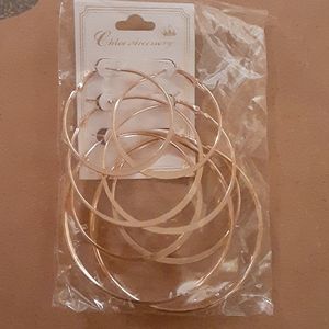 Chloe Accessory Earrings